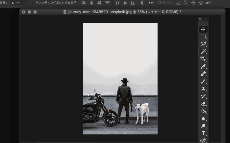 Photoshopの便利機能 コンじる って知ってる ブログ 徳島のホームページ制作会社 有限会社データプロ