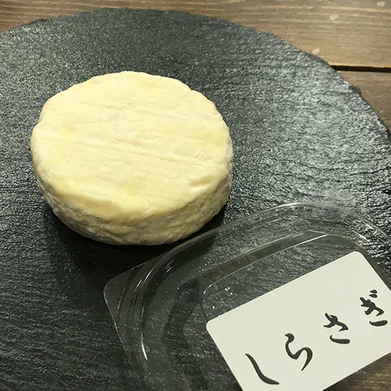 土曜限定 徳島県内産の生乳を使うナチュラルチーズ工房 チーズの灯 ブログ 徳島のホームページ制作会社 有限会社データプロ